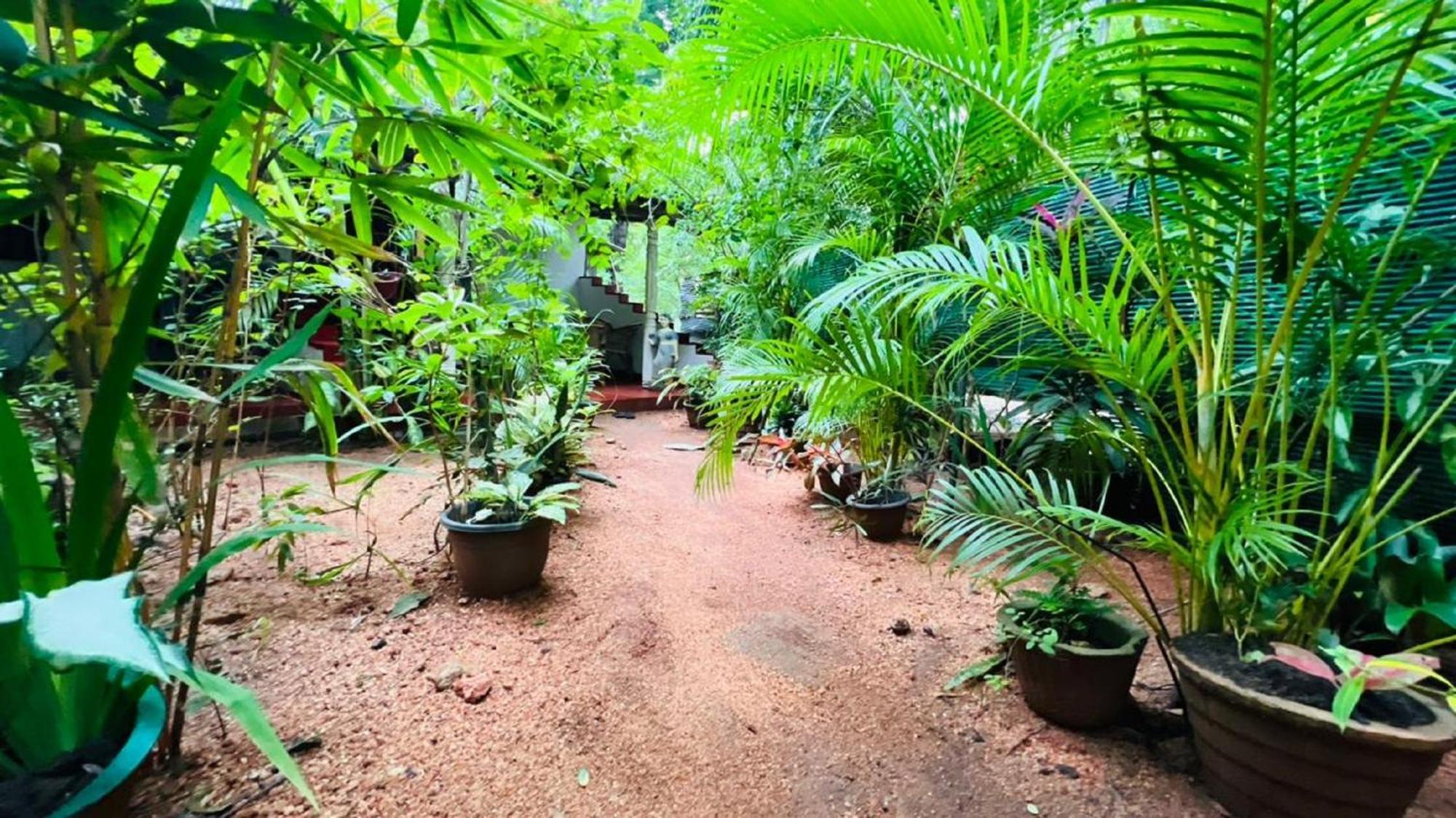 Sigiri Kp Family Home สิกิริยา ภายนอก รูปภาพ